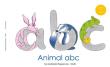 Okładka książki Animal ABC
