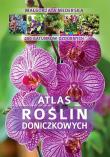Atlas roślin doniczkowych 200 gatunków. Autor: Mederska Małgorzata. Dadada.pl Okładka książki Atlas roślin doniczkowych 200 gatunków