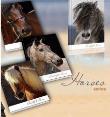 Opakowanie Brulion A5/96K linia OT 1088 Horses (5szt)
