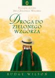 Droga do Zielonego Wzgórza. Autor: Budge Wilson. Dadada.pl Okładka książki Droga do Zielonego Wzgórza