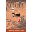 Juni. Autor: Bojarski Piotr. Dadada.pl Okładka książki Juni