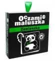 Oczami Maluszka. Zawieszka. Autor: Opracowanie zbiorowe. Dadada.pl Okładka książki Oczami Maluszka. Zawieszka