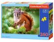 Opakowanie Puzzle 260 Pine Squirrel