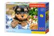 Opakowanie Puzzle Puppy-on-a-Picnic 300