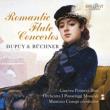 Dupuy & Büchner: Romantic Flute Concertos. Wydawca: Brilliant Classics. Dadada.pl Opakowanie Dupuy & Büchner: Romantic Flute Concertos
