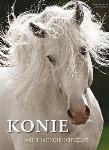Okładka książki Konie