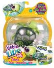 Opakowanie Little Live Pets. Żółwik s. 2/3 różne rodzaje