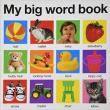 Opakowanie My Big Word Book