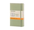 Opakowanie Notes Moleskine L pistacjowy  w linie w twardej oprawie 13x21cm (MOQP060K12)
