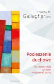 Pocieszenie duchowe. Autor: Timothy M. Gallagher OMV. Dadada.pl Okładka książki Pocieszenie duchowe
