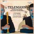 Telemann: The Recorder Sonatas - Audiobook. Wydawca: Brilliant Classics. Dadada.pl Opakowanie Telemann: The Recorder Sonatas - Audiobook