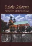 Opakowanie Dzieje Gniezna