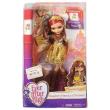 Opakowanie Ever After High - Lalka Rosabella Beauty