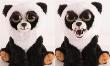 Opakowanie Feisty Pets - Panda