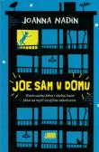 Okładka książki Joe sam w domu