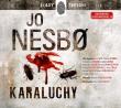 Karaluchy (audio CD) - Audiobook. Autor: JO NESBØ. Dadada.pl Okładka książki Karaluchy (audio CD) - Audiobook