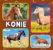 Okładka książki Konie