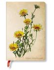 Opakowanie Notatnik Woodland Daisies Mini linia