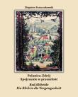 Polanica-Zdrój Spojrzenie w przeszłość. Autor: Franczukowski Zbigniew. Dadada.pl Okładka książki Polanica-Zdrój Spojrzenie w przeszłość