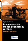 Psychologiczny model dobrostanu w pracy. Wartość i sens pracy. Autor: Agnieszka Czerw. Dadada.pl Okładka książki Psychologiczny model dobrostanu w pracy. Wartość i sens pracy