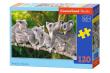 Opakowanie Puzzle Family of Koalas 120
