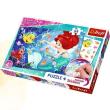 Opakowanie Puzzle Plus 54 + Naklejki Arielka wśród rybek