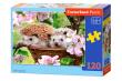 Opakowanie Puzzle Springtime 120