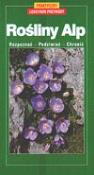 Opakowanie Rośliny Alp