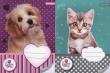 Opakowanie Zeszyt A5 Sweet Pets w kratkę 16 kartek 10 sztuk mix