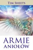 Armie aniołów. Autor: Sheets Tim. Dadada.pl Okładka książki Armie aniołów