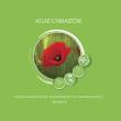 Atlas chwastów roślin rolniczych, sadowniczych i warzywniczych. Autor: Adam Paradowski. Dadada.pl Okładka książki Atlas chwastów roślin rolniczych, sadowniczych i warzywniczych