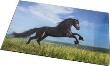 Opakowanie Mata na biurko ze zdjęciem Konie