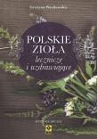 Polskie zioła lecznicze i uzdrawiające. Autor: Wasilewska Grażyna. Dadada.pl Okładka książki Polskie zioła lecznicze i uzdrawiające