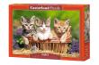 Opakowanie Puzzle three Lovely kittens 500