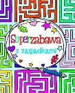 Superzabawa z zagadkami. Autor: Regan Lisa, Harris Joeanne. Dadada.pl Okładka książki Superzabawa z zagadkami