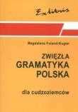 Okładka książki Zwięzła gramatyka polska dla cudzoziemców wer. pol