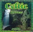 Okładka książki Celtic Dreams. Shannon CD