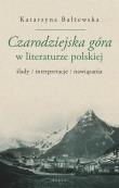 Okładka książki Czarodziejska góra w literaturze polskiej