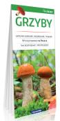 Opakowanie Grzyby