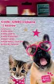 Opakowanie Kredki Jumbo ołówkowe Studio Pets trójkątne 12 kolorów