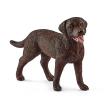 Opakowanie Labrador Retrieve suczka