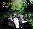 Okładka książki Lonely Lullaby. Shamrock. Folk Music Group CD