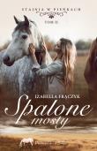Spalone mosty. Autor: Frączyk Izabella. Dadada.pl Okładka książki Spalone mosty