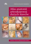 Atlas anatomii artroskopowej dużych stawów. Autor: Blanco Moreno C.. Dadada.pl Okładka książki Atlas anatomii artroskopowej dużych stawów