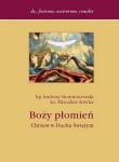 Boży płomień. Autor: Siemieniewski Andrzej, Kiwka Mirosław. Dadada.pl Okładka książki Boży płomień