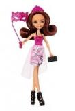 Opakowanie Ever After High - Bal koronacji Briar Beauty