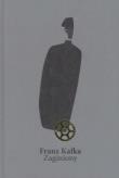 Okładka książki Franz Kafka. Zaginiony