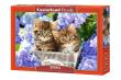 Opakowanie Puzzle 1500 Cute Kittens