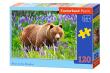 Opakowanie Puzzle Bear On The Meadow 120