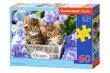 Opakowanie Puzzle Cute Kittens 60